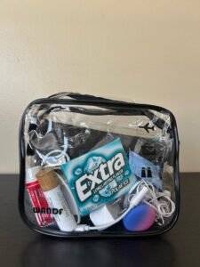Airplane bag